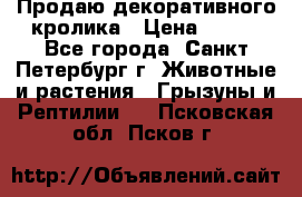 Продаю декоративного кролика › Цена ­ 500 - Все города, Санкт-Петербург г. Животные и растения » Грызуны и Рептилии   . Псковская обл.,Псков г.